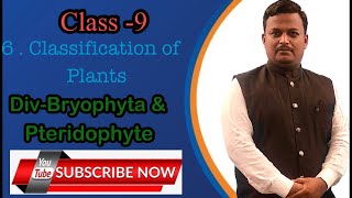 Class9Classification of plants DivBryophyta amp Pteridophyta [upl. by Enytnoel]