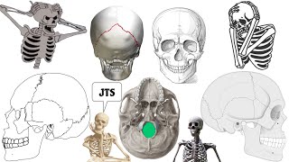 osteology  Norma BasalisAnatomy1st year MBBS skull  Head and Neck [upl. by Waylon]