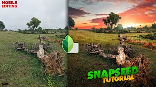 Make Your Mobile Pictures go Viral with These Editing Tricks  Snapseed Tutorial  Android  iPhone [upl. by Fransen]