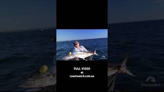 NEW COASTWATCH FISHING CONTENT FULL VIDEO at coastwatchcomau MACKEREL MAYHEM [upl. by Arocahs]