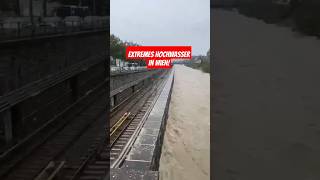 Extremes Hochwasser in Wien am 15092024 heavyrain hochwasser vienna viralvideo trending [upl. by Leirad586]