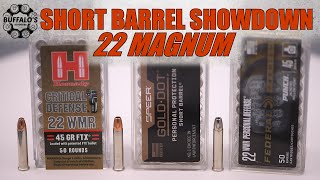 22 MAGNUM SELF DEFENSE AMMUNITION GEL BLOCK TEST  SHORT BARREL [upl. by Tneciv]