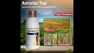 Amistar Top fungicide Syngenta ka amistar top farming shorts sigenta amistartop [upl. by Hogen729]