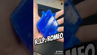 RIP Romeo my giant copper sulfate crystal gonebutneverforgotten science chemistry [upl. by Aluor]