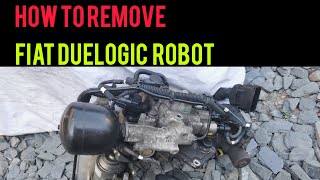 How to remove a duel logic gearbox robotselespeed from a fiat punto 500panda [upl. by Adihahs]