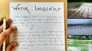 Irrigation Water logging  Causes of Water logging  Effects  Measures to prevent Water logging [upl. by Debra]