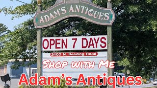 Adams Antiques  Adamstown PA  Shop with Me [upl. by Limak]