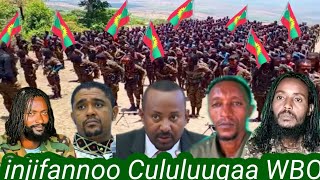 injifannoo Cululuuqaa WBO Reebicha Dararaa Saamicha Qeee irraa dirqamaan Buqqauu Waraana motummaat [upl. by Lorrac]