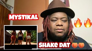 MYSTIKAL SHAKE YA A Official video Reaction [upl. by Redwine]