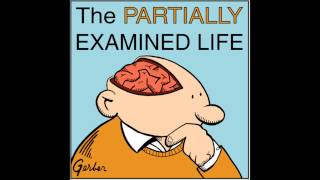 Partially Examined Life podcast  The Federalist Papers [upl. by Saba400]