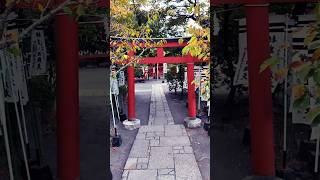 The most important shinto shrine  kamakura japan [upl. by Anada]