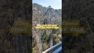 View from the tower  Otway Fly Treetop Walk in Australia [upl. by Jessabell668]