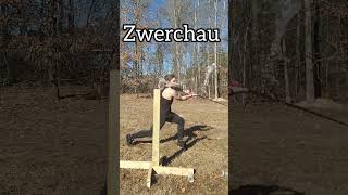 Zwerchau German Longsword Technique sword HEMA shorts [upl. by Gib]