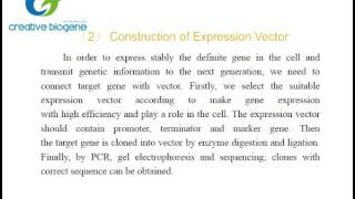 Gene overexpression protocol Creative Biogene [upl. by Stockmon]