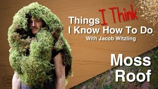 Things I Think I Know How to Do Moss a Roof [upl. by Idnam]