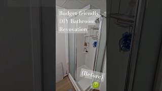 Budget DIY bathroom reno Everything we fixed🥴 diy renovationseries homedesign waterdamage [upl. by Briney]