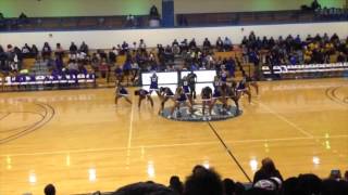 Dillard University Cheerleaders Homecoming 2014 [upl. by Coletta]