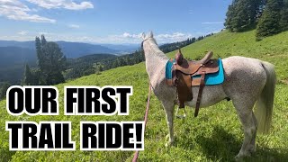 Arabian HORSE 🏔️ Trail riding in MONTANA POV [upl. by Eatnoed]