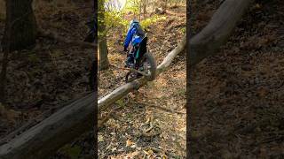 Дружишь с бревнами enduro эндуро motovlog dirtbike всевэндуро питбайк motocross automobile [upl. by Uttasta289]