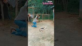 কুকুরের একি অবস্থা funny shortscomedy videos youtube videos yt videos song love dog [upl. by Sammons]