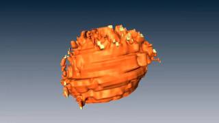 Ignicoccus hospitalis and Nanoarchaeum equitans ultrastructure cellcell interaction and 3D reco [upl. by Georgetta174]