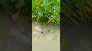 Attractive Plastic Bottle Hook Fishing Challenge Video part4fishingshorts [upl. by Koffman468]