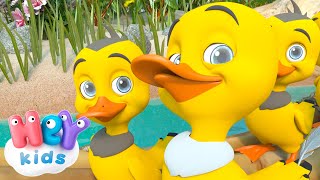 5 petits Canards 🐥 Chanson Cinq canetons partirent nager  HeyKids Comptines pour bébé  Animaj Kids [upl. by Ylatan]