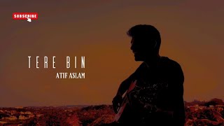 Tere Bin  Atif Aslam Cover  Shyam Pareek [upl. by Alie217]