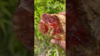 Red Jasper merona gemstone [upl. by Notgnillew]