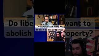 Do Libertarians Want to Abolish All Government Services libertarian rothbard davesmith [upl. by Anerual]