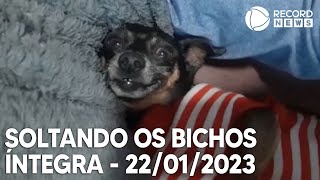 Soltando os Bichos  22012023 [upl. by Manbahs]