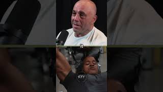 JoeRogan Explains The Art Of Discipline jre joeroganexperience jre [upl. by Peednus]