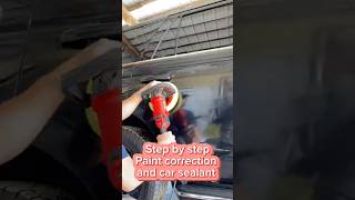 How to do paint correction and car sealant step by step [upl. by Pen]