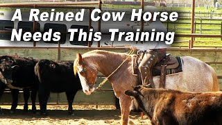 A Reined Cow Horse Needs This Training  Horse Training For Reining And Cow Horses [upl. by Iilek]