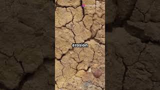 Earths Vanishing Soil A Growing Problem facts amazing soil earth problem [upl. by Domela342]