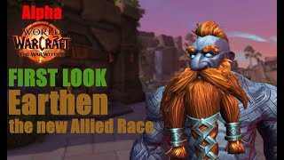 Earthen Allied Race FIRST LOOK  The War Within [upl. by Atener426]