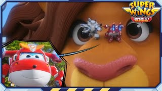 SUPERWINGS7 Itchy Lion Rescue  Superwings Superpet Adventures  S7 EP14  Super Wings [upl. by Geri]