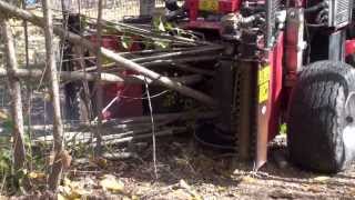 Harvesting poplar trees with diameter up to 25 cm  DEMO [upl. by Enaerb387]