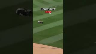 Oops Fielders Epic Fail on a Crucial Catch [upl. by Evante]