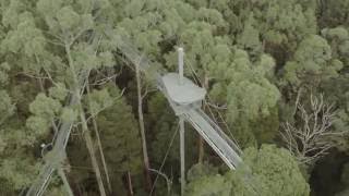 Otway Fly Treetop Adventures [upl. by Bernj]