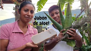 COMO PREPARAR JABON DE ALOE VERA PARA EL CABELLO [upl. by Essie]