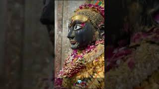 Neminath bhagwan song  girnar song [upl. by Eissej]