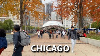 Autumn in Chicago  Michigan Avenue  The Magnificent Mile  Sunday Walk  November 10 2024  4k [upl. by Krys]