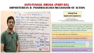 Antifungal Drugs Part03 Amphotericin B Pharmacology amp Mechanism of Action  Antifungal Medicines [upl. by Wilterdink]