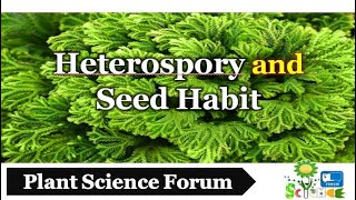 Heterospory and Seed Habit  Plant Science Forum [upl. by Iddo]