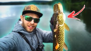 4 Tips for PIKE FISHING from the Shore 🐊 [upl. by Rose576]