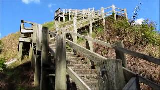 Exploring Pinson Mounds State Archaeological Park TN [upl. by Hedvige]