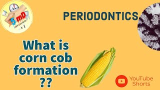 What is CornCob formation  periodontics shorts dentistry [upl. by Anelleh712]