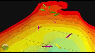 Integrated Sonar and Biotelemetry Methods for Estimating Fish Abundance [upl. by Eisset]