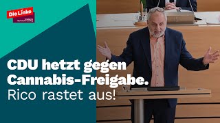 Cannabis wird legalisiert  gut so [upl. by Netsrak]